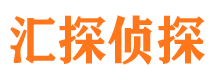 维扬市侦探公司